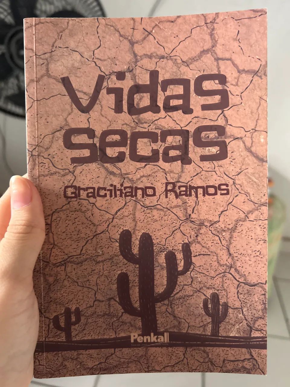 Livro Vidas Secas 