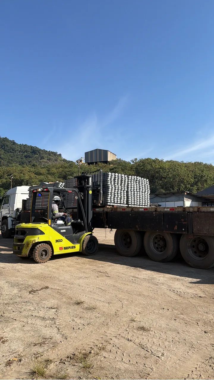 Carreta Carga Seca Randon - Foto 4
