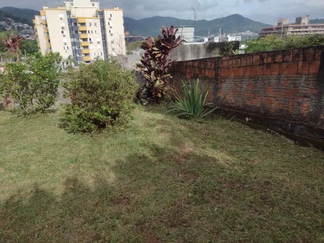 Jardinagem, jardineiro, podas, limpezas de terrenos - Foto 2