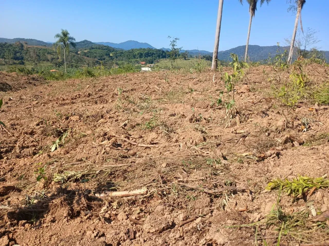 Imóvel para venda com 480000 metros quadrados com 2 quartos em Centro - Eldorado - SP - Foto 5