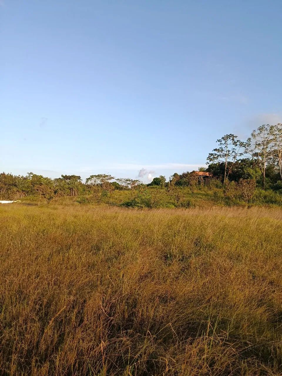 Terreno rural 