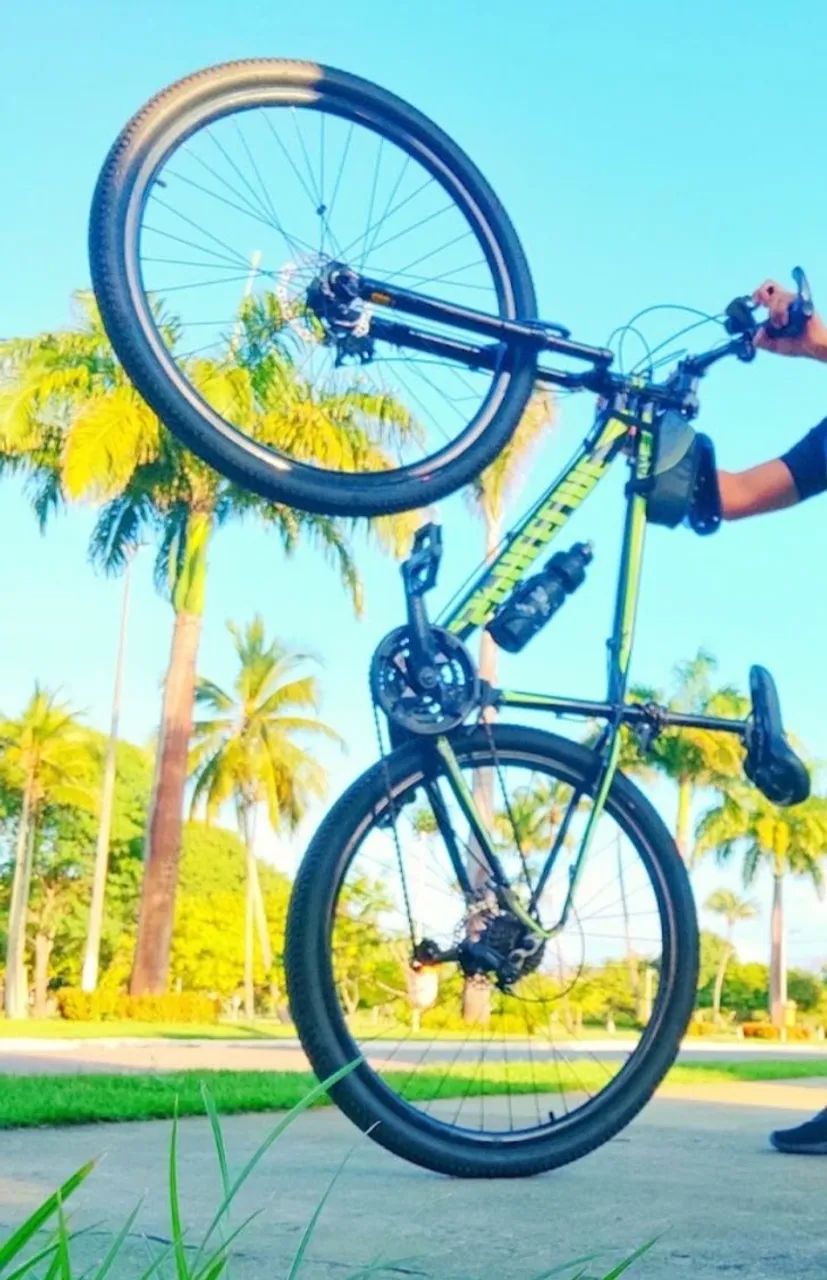 Bike space LINE aro 29