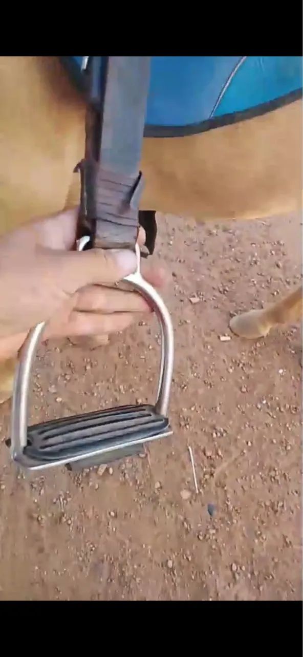 Sela cavalo - Foto 4