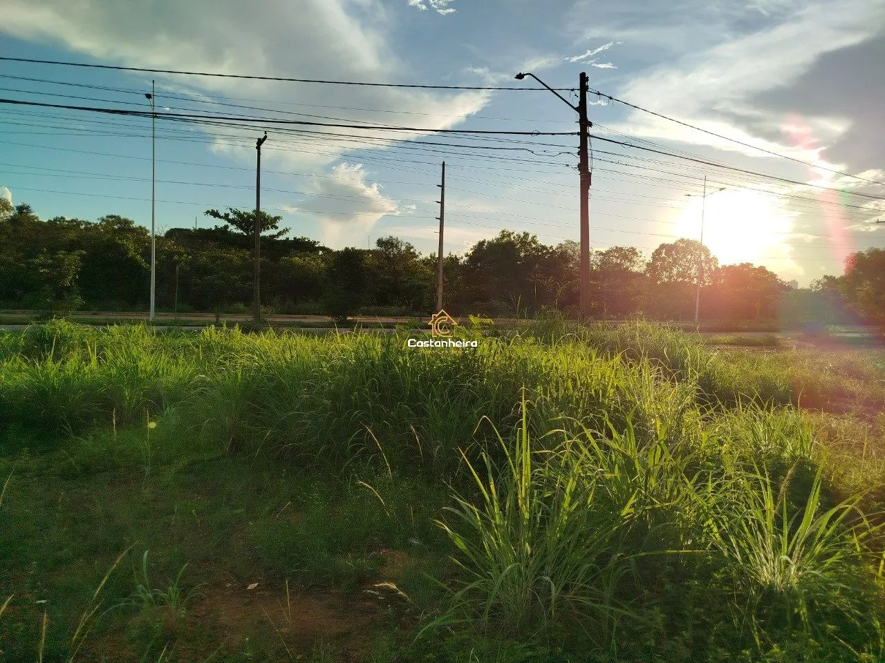Lote Comercial - 144 m² - Plano Diretor Norte - Foto 4