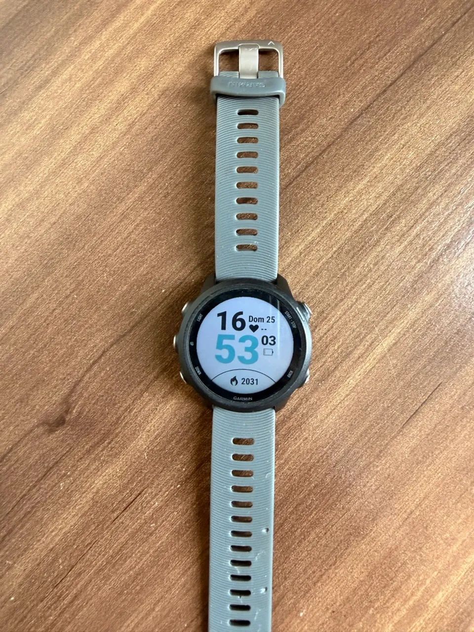 Garmin Forerunner 245