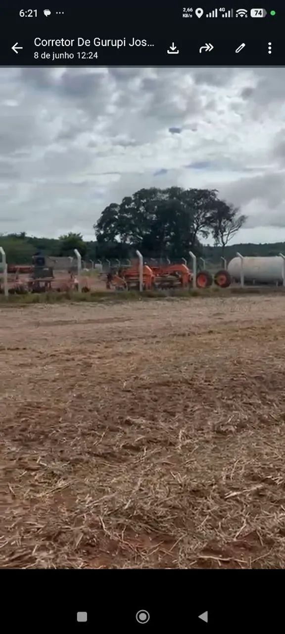 Fazenda de Arrendamento no Tocantins 1.800hec argila 35% a 40% - Foto 3