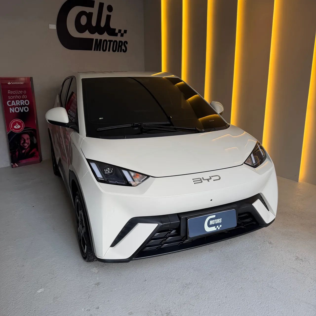 BYD Dolphin 2026
