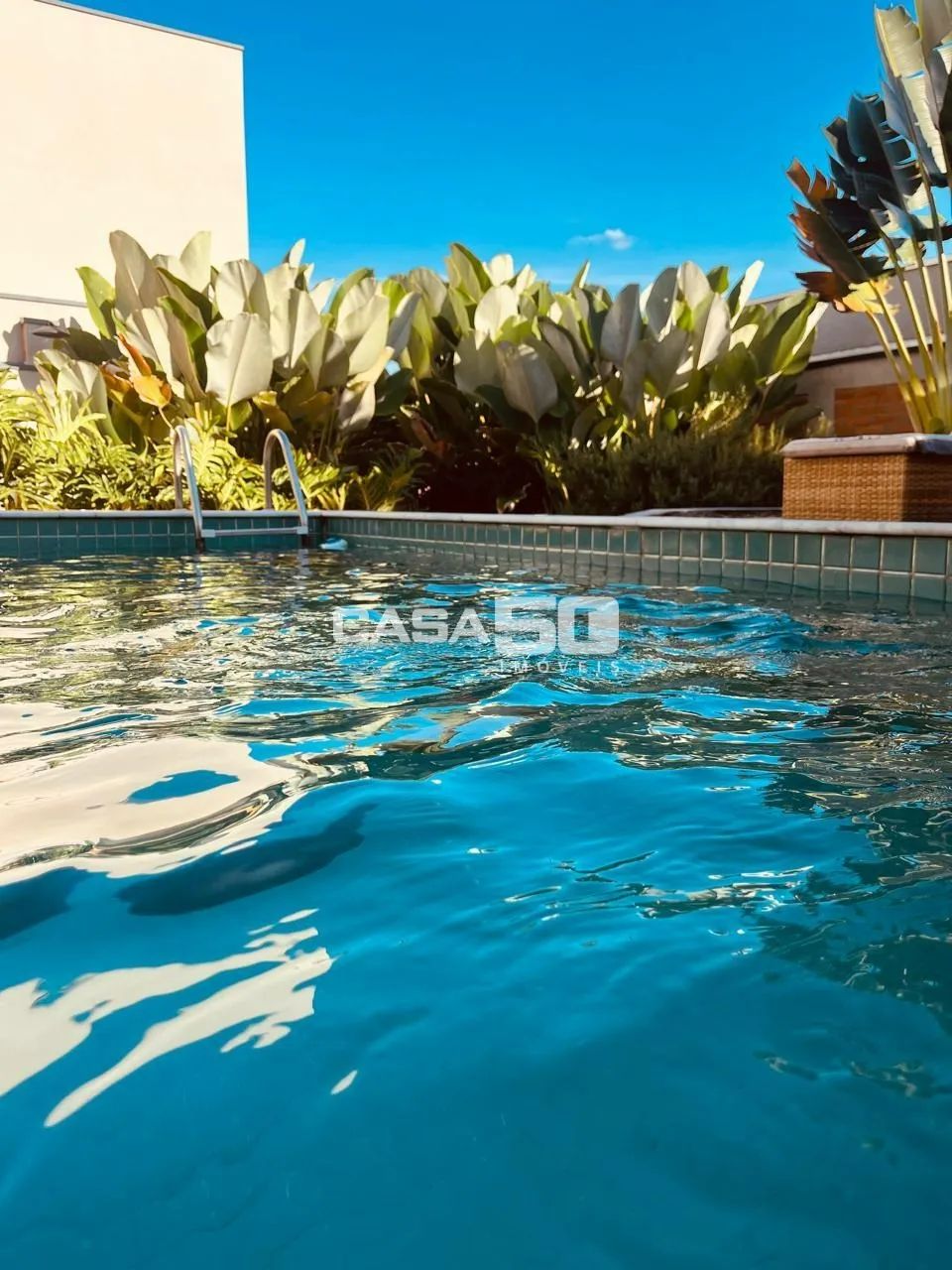 casa - Swiss Park - Campinas - Foto 3
