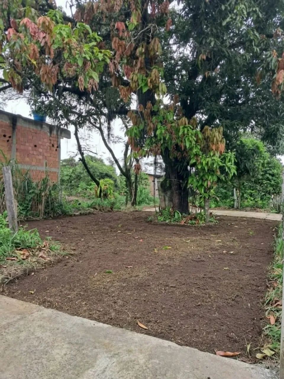 TERRENO EM ÓTIMA LOCALIZAÇÃO. - Foto 3