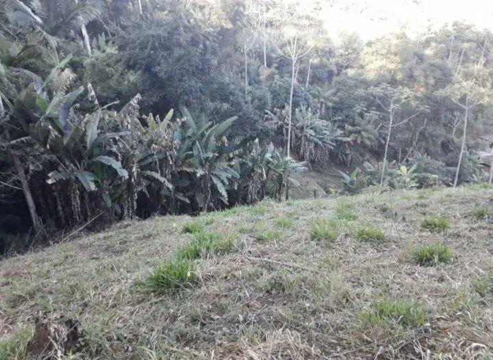 Imóvel para venda tem 5000 metros quadrados com 1 quarto em Centro - Marechal Floriano - E - Foto 4