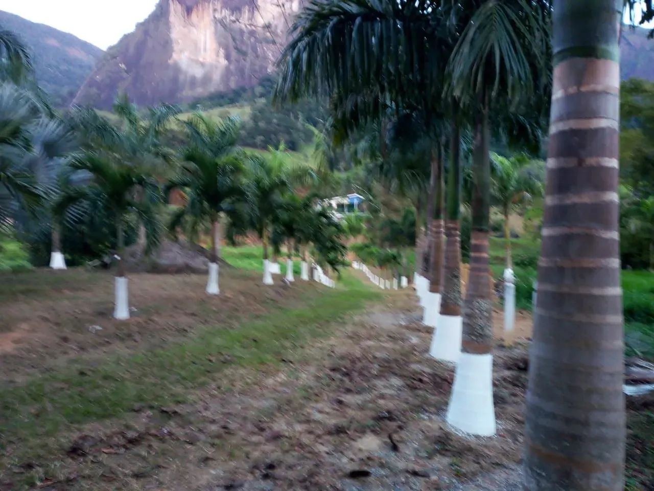 Sítio 2 ALQUEIRES  com 5 quartos em SERRA DA CRUZ - Macaé - RJ - Foto 2