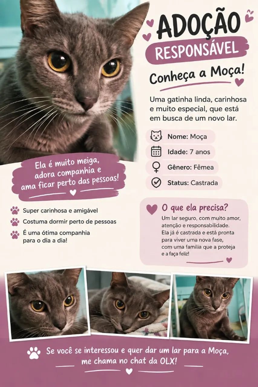 Adoção responsável 