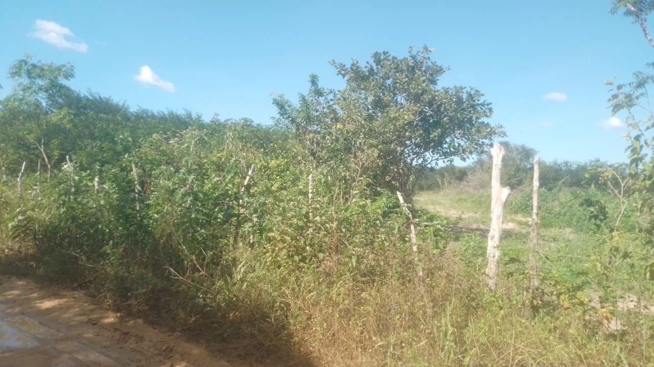 Foto - Fortaleza - Passaré