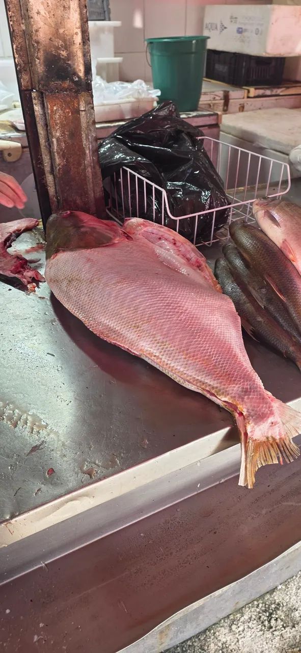 Tambaqui de Rio - Só os monstros!!! - Foto 4