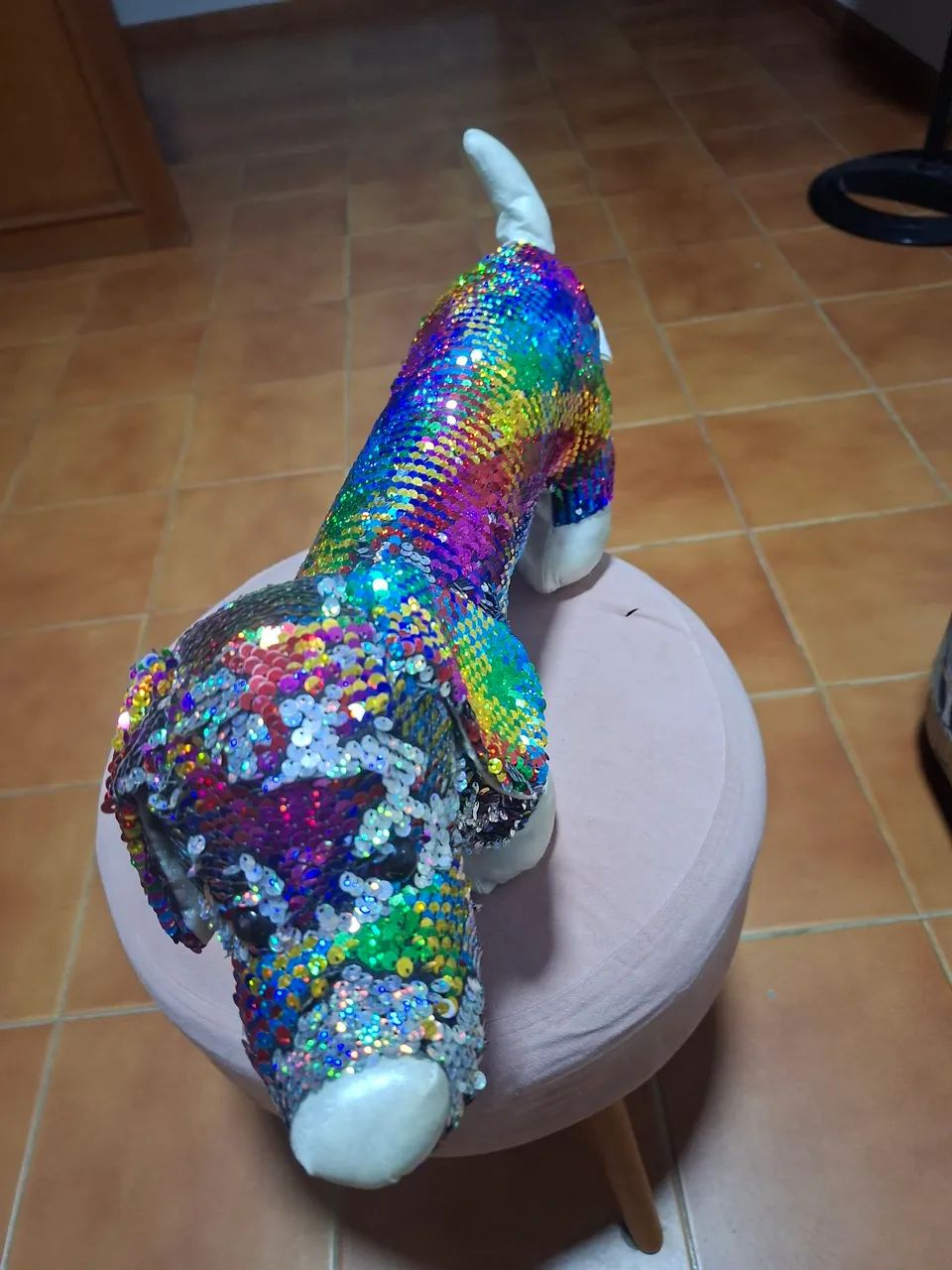 CACHORRO LINDO E MUDA DE COR