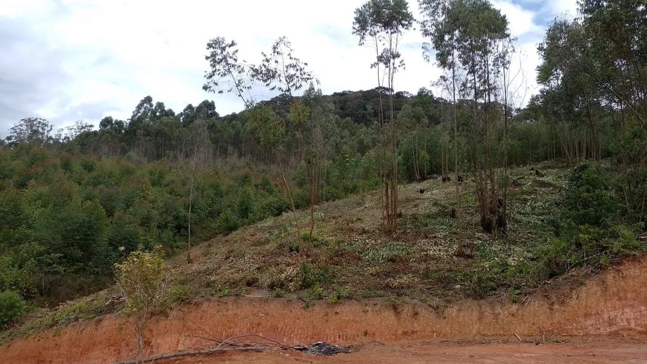 Terreno em Mairiporã 
