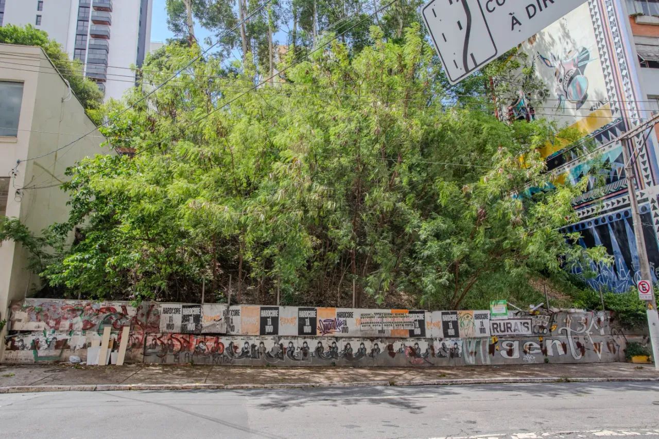 Terreno - Pinheiros - 477m² - Foto 5