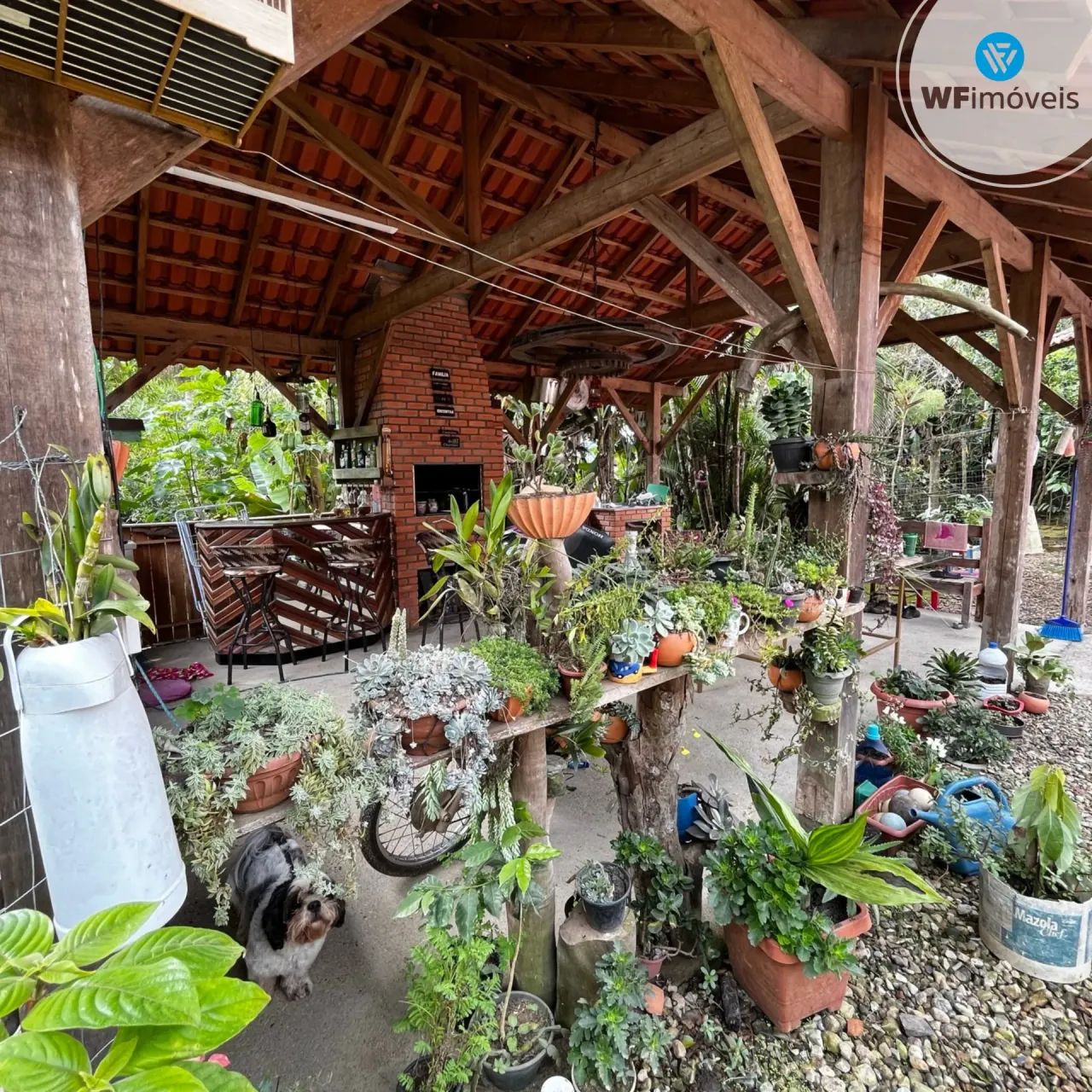Lindo Sítio com 3 dormitórios disponível para venda. - Foto 2