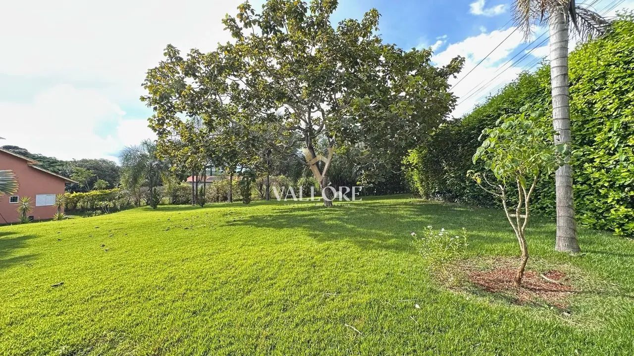 Ribeirão da Cachoeira - Chácara 7.200m² com ribeirão, pomar raro, 2 casas e aceita pets  N - Foto 10