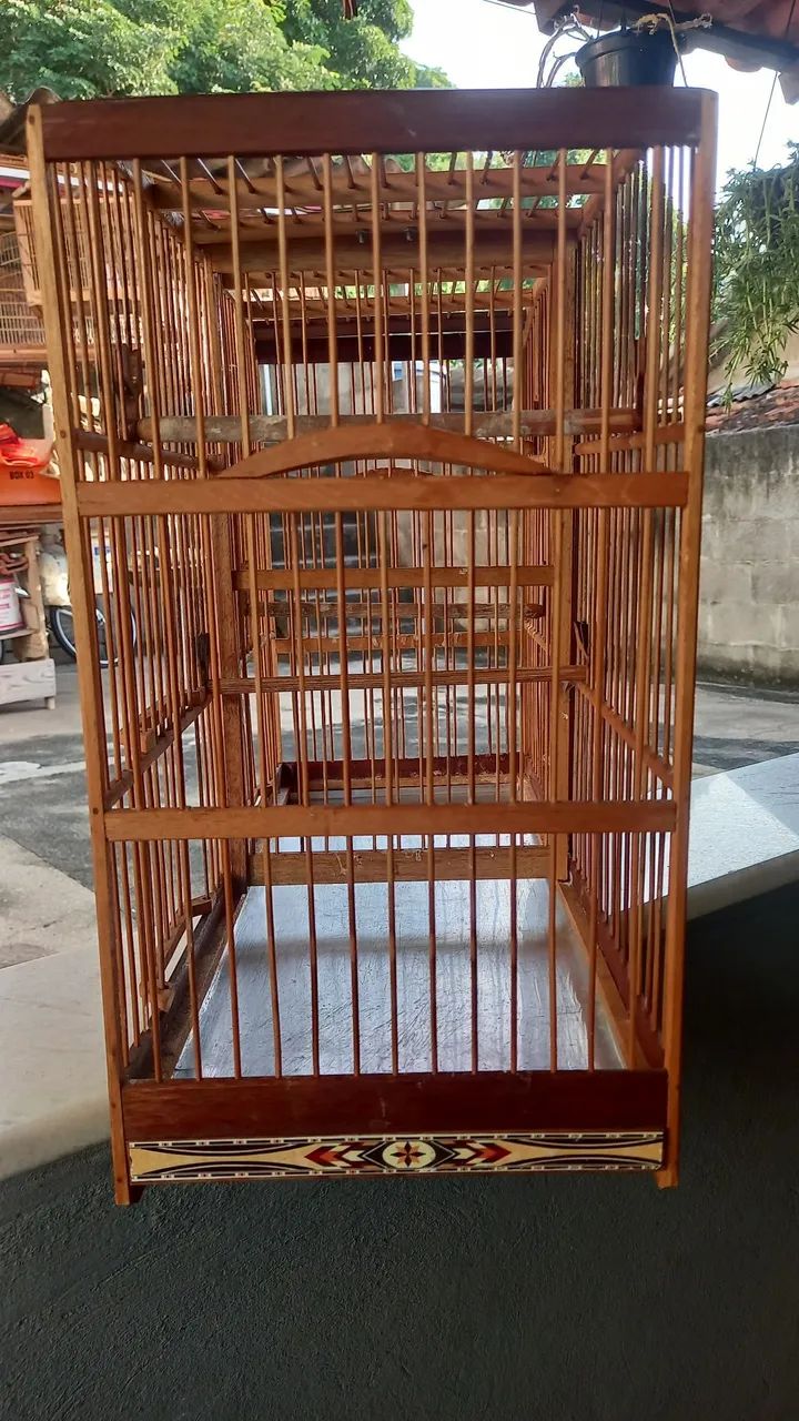 Gaiola441091357651783682