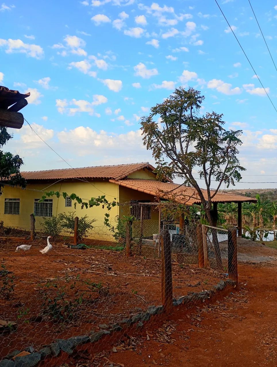 Sitio a venda