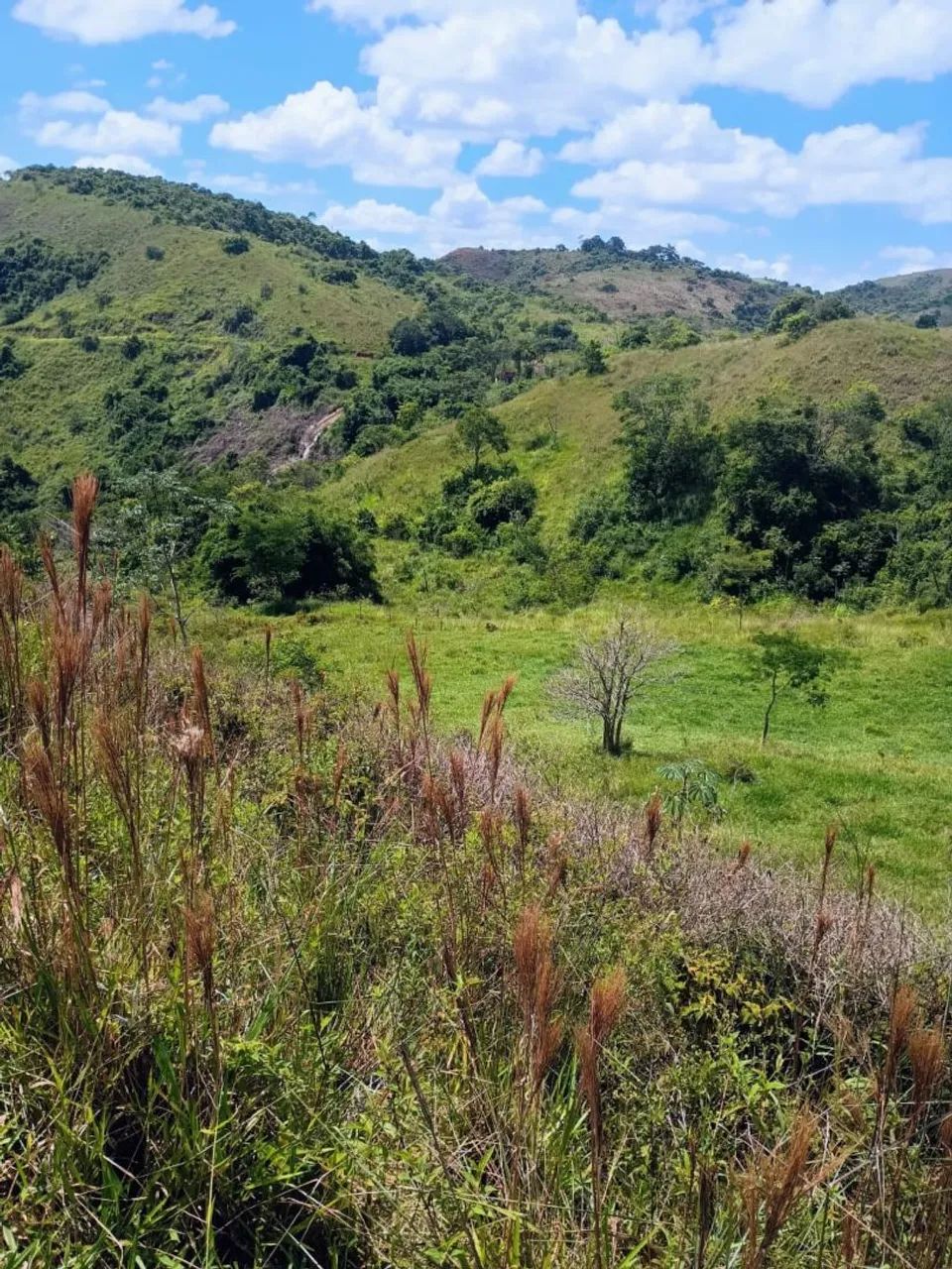 Valença - Fazenda com 93 alqueires  - Foto 4
