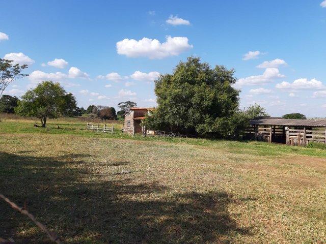 Sítio de 21 Alqueires-Proximo a Luzitânia - Foto 5