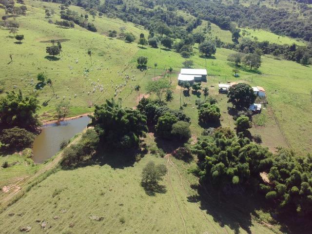 Fazenda 25 Alqueires ( 121 hectares )-Varjão-GO porteira fechada - Foto 13
