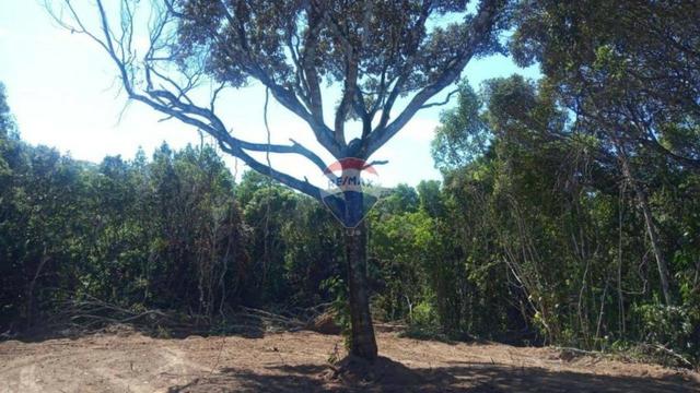 Terreno à venda, 300 m² por R$ 60.000 Trancoso - Porto Seguro/BA - Foto 9