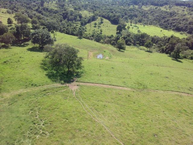 Fazenda 25 Alqueires ( 121 hectares )-Varjão-GO porteira fechada - Foto 11