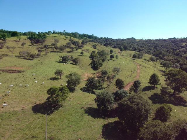 Fazenda 25 Alqueires ( 121 hectares )-Varjão-GO porteira fechada - Foto 12