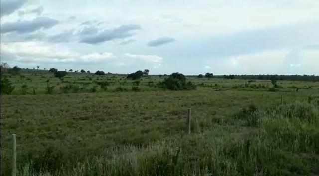 Fazenda de 853 hectares .400 hectares mecanizados . Colinas do Tocantins- TO - Foto 2