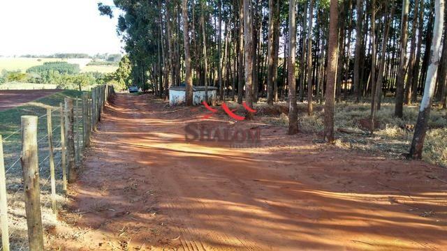 8051 | Sítio à venda em NÃO INFORMADO, IGUARAÇU - Foto 10