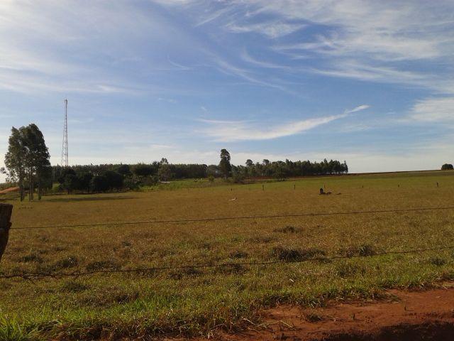 8062 | Chácara à venda em ÁREA RURAL, CRUZEIRO DO SUL - Foto 3