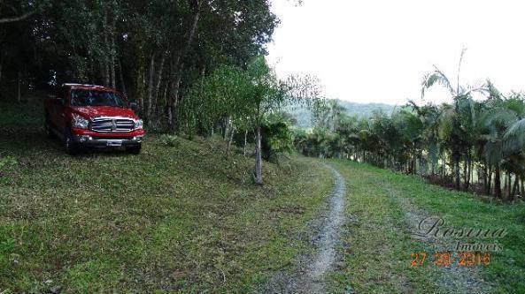Conjunto de chácaras no anhaia - Foto 14