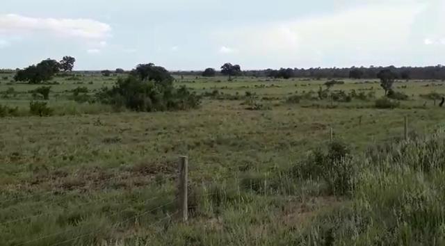 Fazenda de 853 hectares .400 hectares mecanizados . Colinas do Tocantins- TO