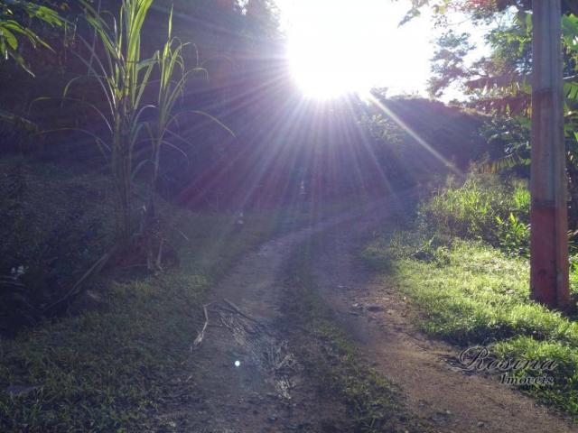 Chácara no sambaqui - Foto 3