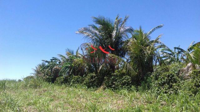 8051 | Chácara à venda em NÃO INFORMADO, IGUARAÇU - Foto 8
