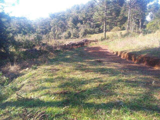 Propriedade Rural em São Francisco de Paula/RS - Rincão dos Kroeff - Foto 19