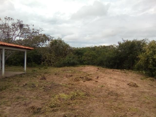 Vendo casa com 12000m2 terreno - Foto 5