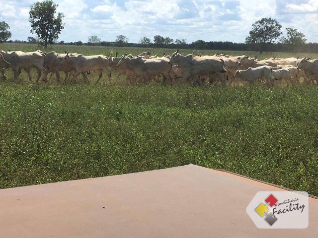 Linda Fazenda estruturada em João Pinheiro MG - Foto 8