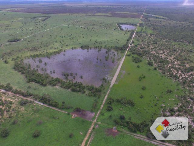 Linda Fazenda estruturada em João Pinheiro MG - Foto 7