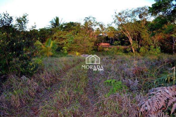 Terreno à venda, 40.920m² por R$ 690.000 - Barra Grande - Maraú/BA - Foto 20