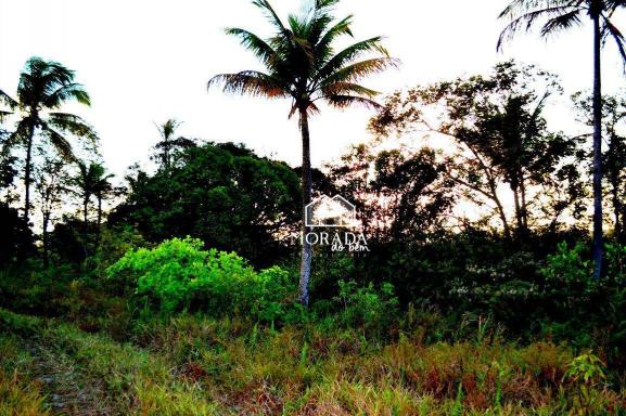 Terreno à venda, 40.920m² por R$ 690.000 - Barra Grande - Maraú/BA - Foto 19
