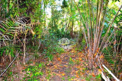 Terreno à venda, 40.920m² por R$ 690.000 - Barra Grande - Maraú/BA - Foto 17