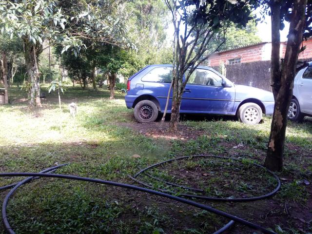 Gol 1.0