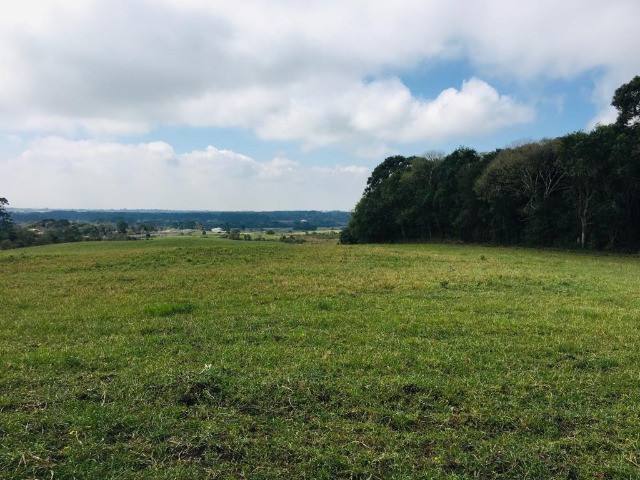 Área Rural em São José dos Pinhais - Foto 3