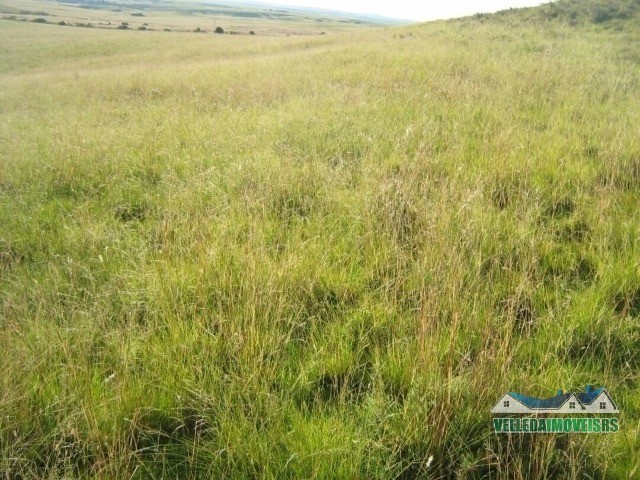 Velleda oferece fazenda p/ pecuária com 236 hectares santana do livramento - Foto 4