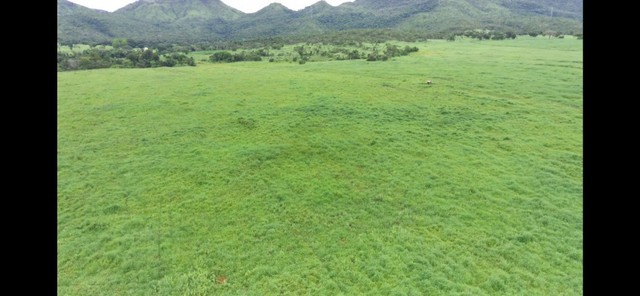Excelente Fazenda com 180 Alqueires - Foto 3