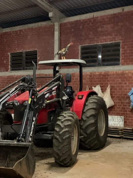 Trator 5709 Massey Ferguson